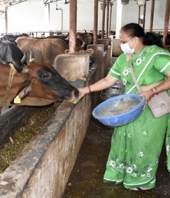 Gau Shaala