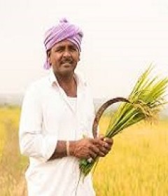 Farmers